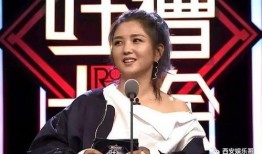 苏醒何洁爆料视频大全,娱乐圈真相曝光